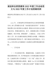 规划和自然资源局2022年度工作总结范文与2022年度工作计划思路范例