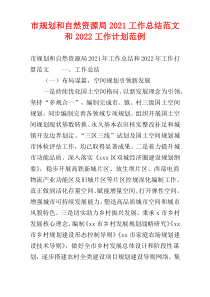 市规划和自然资源局2021工作总结范文和2022工作计划范例