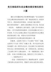 党支部组织生活会整改落实情况报告3篇
