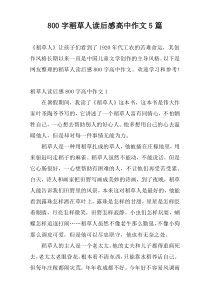 800字稻草人读后感高中作文5篇