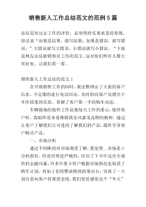 销售新人工作总结范文的范例5篇
