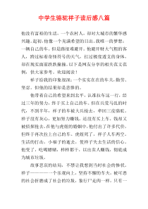 中学生骆驼祥子读后感八篇