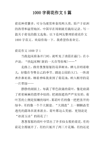 1000字荷花作文5篇