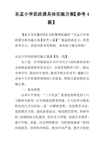 东孟小学思政课具体实施方案【参考4篇】