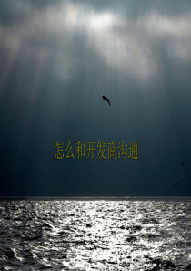 怎么和开发商沟通