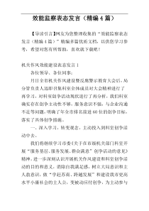 效能监察表态发言（精编4篇）