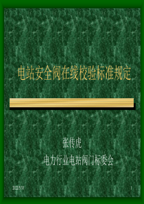 电站安全阀校验标准规定