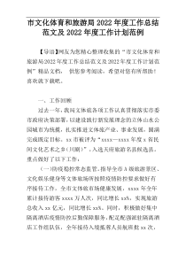 市文化体育和旅游局2022年度工作总结范文及2022年度工作计划范例