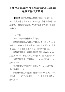 县商投局2022年度工作总结范文与2022年度工作打算范例