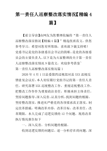第一责任人巡察整改落实情况【精编4篇】