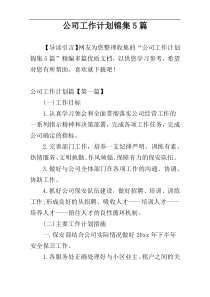 公司工作计划锦集5篇