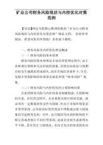 矿业公司财务风险现状与内控优化对策范例