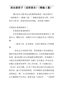 政法委班子（述职报告）（精编3篇）