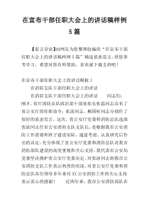 在宣布干部任职大会上的讲话稿样例5篇