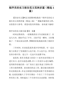 程序员的实习报告范文范例多篇（精选4篇）