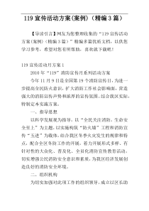 119宣传活动方案(案例)（精编3篇）