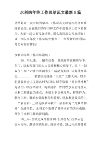 水利站年终工作总结范文最新5篇