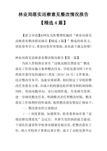 林业局落实巡察意见整改情况报告【精选4篇】