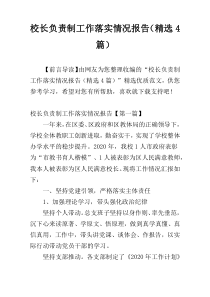校长负责制工作落实情况报告（精选4篇）