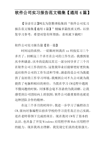 软件公司实习报告范文锦集【通用4篇】
