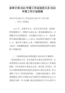 县审计局2022年度工作总结范文及2022年度工作计划思路