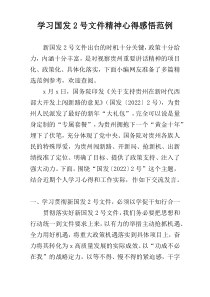 学习国发2号文件精神心得感悟范例