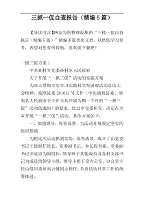 三抓一促自查报告（精编5篇）