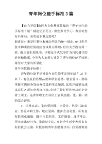 青年岗位能手标准3篇