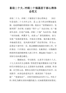 喜迎二十大，冲刺二十强基层干部心得体会范文