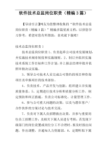 软件技术总监岗位职责（精编3篇）