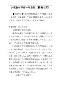 乡镇驻村干部一年总结（精编4篇）