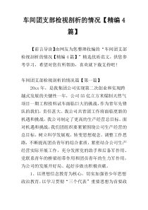 车间团支部检视剖析的情况【精编4篇】