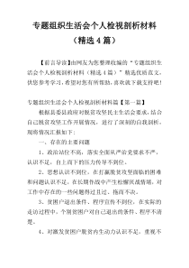 专题组织生活会个人检视剖析材料（精选4篇）