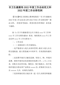 市卫生健康局2022年度工作总结范文和2022年度工作安排范例