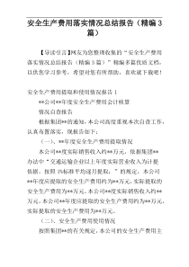 安全生产费用落实情况总结报告（精编3篇）