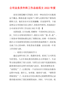 公司业务员年终工作总结范文2022年度
