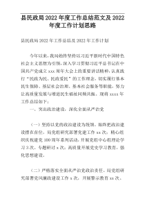 县民政局2022年度工作总结范文及2022年度工作计划思路