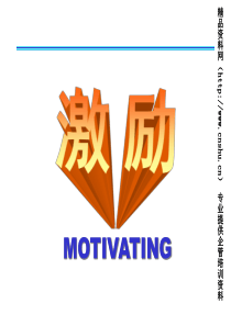 第10章激励