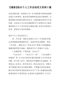 【最新】组长个人工作总结范文范例5篇
