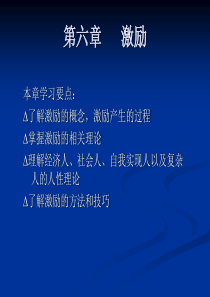 第六章激励y