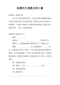 短期外汇借款合同2篇