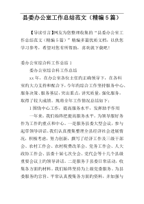 县委办公室工作总结范文（精编5篇）