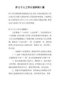 护士个人工作计划样例5篇