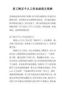 员工转正个人工作总结范文范例