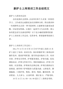 新护士上岗培训工作总结范文