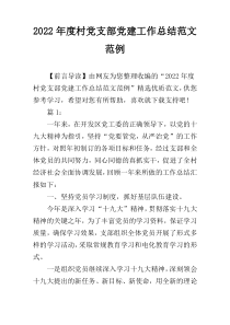 2022年度村党支部党建工作总结范文范例