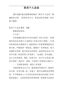 职员个人总结