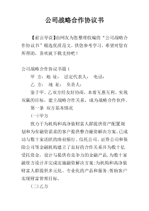 公司战略合作协议书