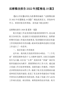 巡察整改报告2022年度【精选10篇】