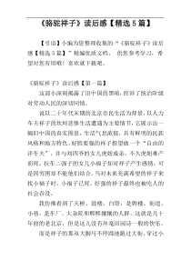 《骆驼祥子》读后感【精选5篇】